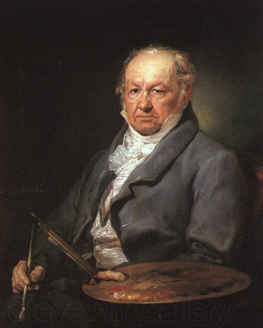 Vicente Lopez Portrait of Francisco de Goya France oil painting art